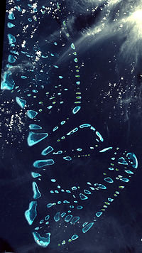 Maldive-35.jpg